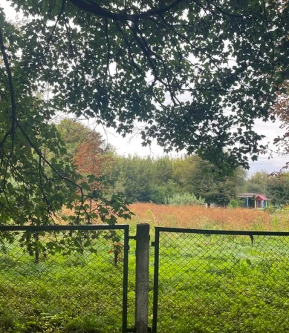 У Бродах місцева підприємиця за 3,1 млн грн купила землю під торгові будівлі