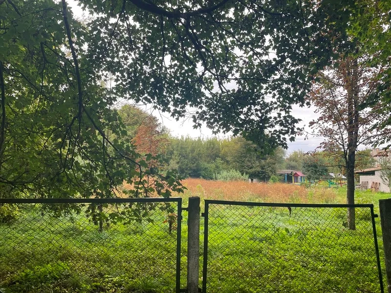 Ділянка, яку продали на аукціоні