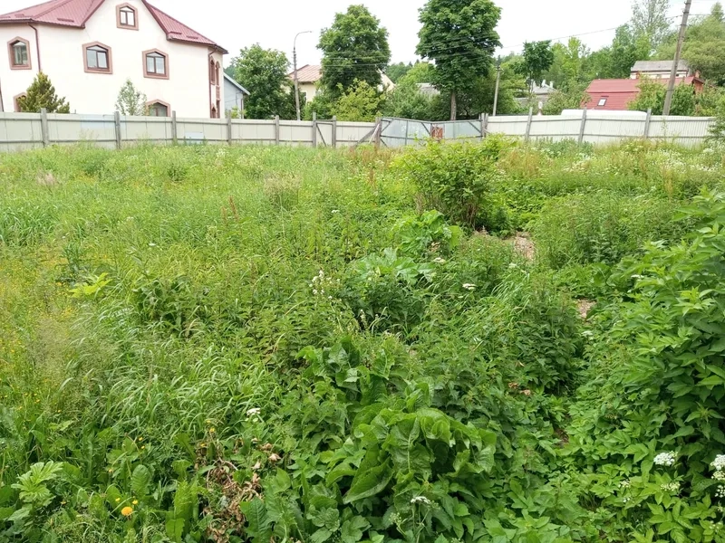 В Турці продали землю під багатоквартирний будинок за 1,9 млн грн – 01