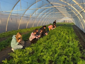 Діти на відпочинку / Херсонська ОВА