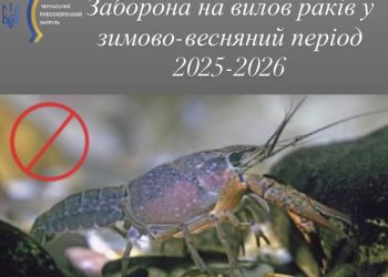 На водоймах області введено заборону на вилов річкових раків — Новости Черкасс