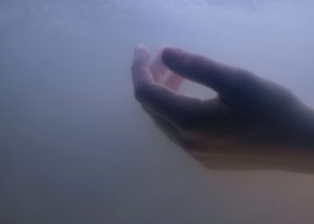 Новини Львова: На Дрогобиччині у річці Бистриця знайшли тіло жінки: встановлюють особу