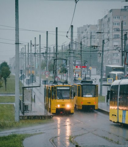 Прогноз погоди у Львові та області 17 листопада: пориви вітру і дощ