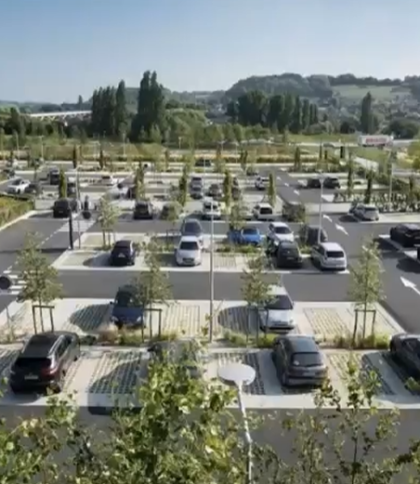 У Львові висадять дерева на усіх відкритих паркувальних майданчиках