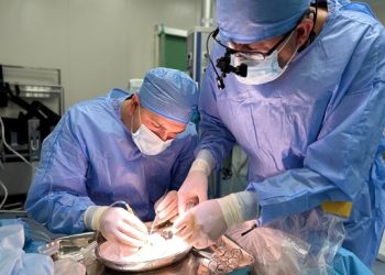 Львівські лікарі пересадили п’ятирічній дитині нирку від немовляти