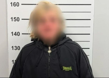 Жінку, яка пошкодила 39 могил у Львові, відправили на примусове лікування