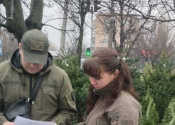 Без документів: у Черкасах виявили незаконний продаж новорічних дерев — Новости Черкасс