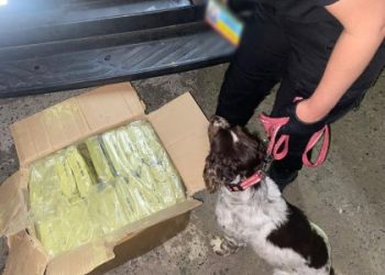 Через кордон на Львівщині 23-річний водій намагався ввезти наркотиків на 4 млн грн — Львівщіна