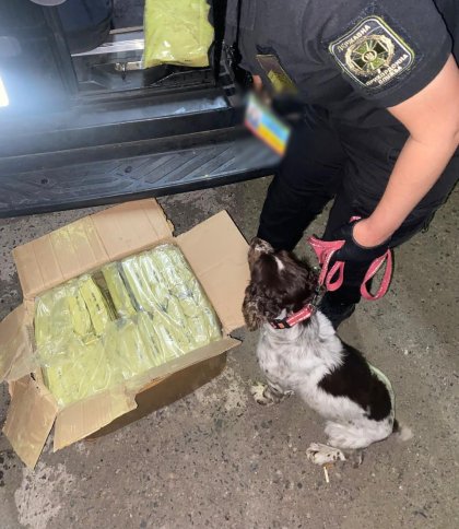 Через кордон на Львівщині 23-річний водій намагався ввезти наркотиків на 4 млн грн