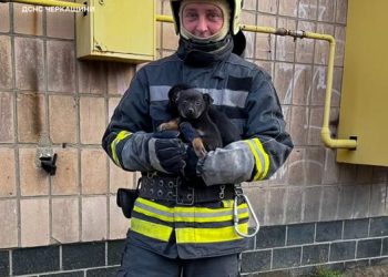 Двох цуценят витягли з глибокої ями рятувальники Звенигородки — Новости Черкасс
