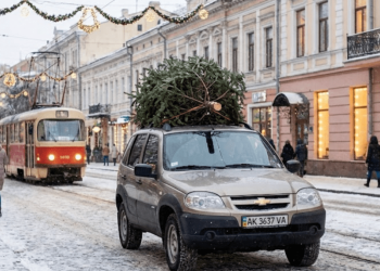 Як перевезти ялинку: правила безпечного транспортування для водіїв | АВТО НОВИНИ |