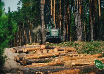 Лісове господарство Черкащини підбило підсумки року: 20 мільйонів висаджених дерев та допомога армії — Новости Черкасс