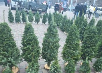 Понеділок суттєвих змін у погоду не принесе — Новости Черкасс