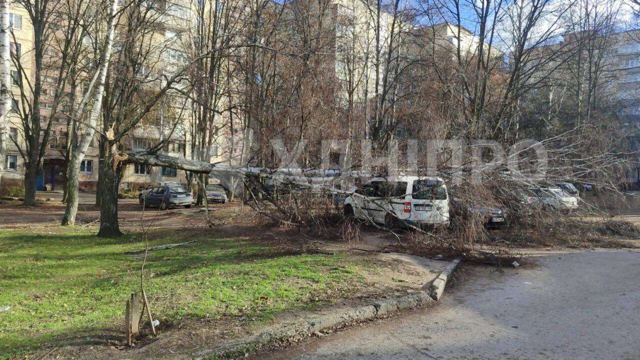 У Дніпрі 13 грудня вирує сильний вітер