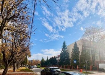 ТОП-10 порушень паркування у Львові за осінь — Львівщіна