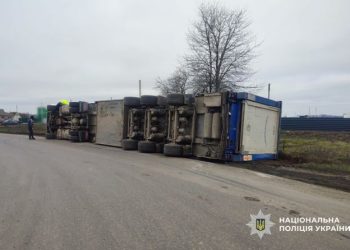 У Христинівці перекинулась вантажівка зі свиньми — Новости Черкасс