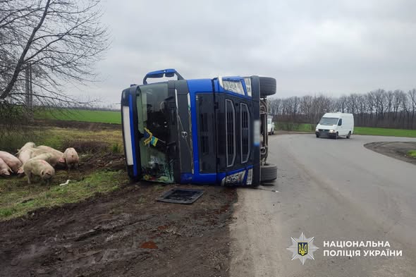 597863487_1326119589559326_1481259918050998989_n