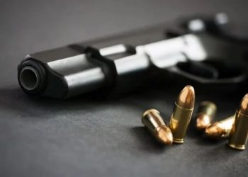 За рік черкащани задекларували 264 одиниці зброї та понад 43 тисячі боєприпасів — Новости Черкасс