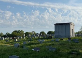 У США чоловіка звинувачують у розграбуванні могил. У його будинку знайшли понад 100 людських черепів | Світ