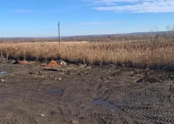 Дрогобицька міськрада за понад 2 млн грн продала промислову землю — Львівщіна