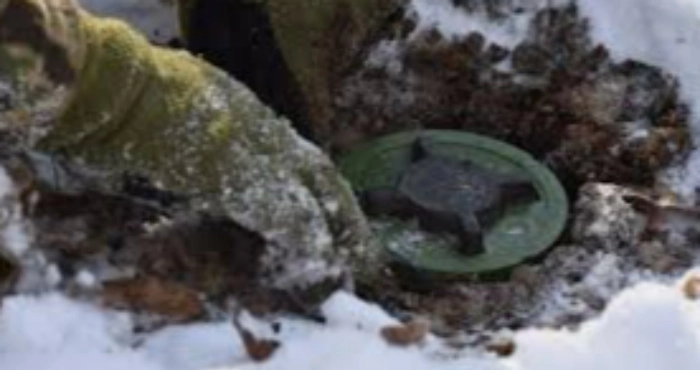 Протипіхотна міна / Ілюстративний матеріал