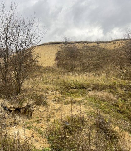 Порушник сплатив майже 50 тис. грн за незаконний забір піску біля лісу на Яворівщині