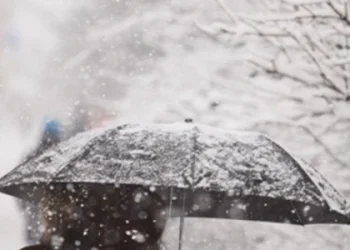 Сніг, ожележиця та туман: прогноз погоди 29 січня на Львівщині — Львівщіна