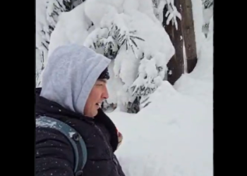 Снігу по пояс: начальник Львівської ОВА показав, як інженери підтримують зв’язок у горах — Львівщіна