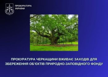 Суд розгляне справу щодо збереження пам’яток природи «Вікові дуби» — Новости Черкасс