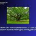 Суд розгляне справу щодо збереження пам’яток природи «Вікові дуби» — Новости Черкасс