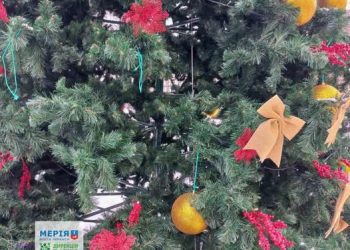 Вандали пошкодили різдвяну ялинку в сквері «Юність» — Новости Черкасс
