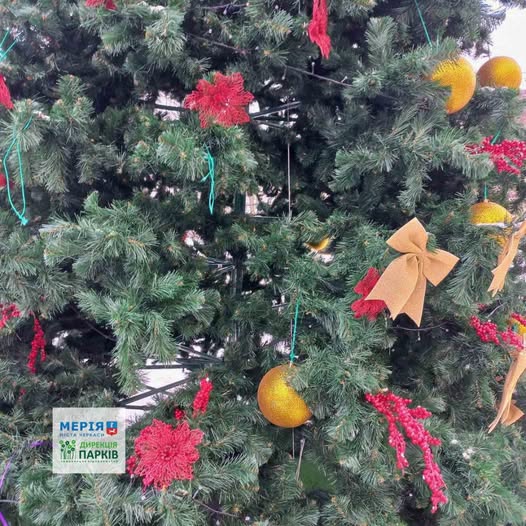 617871324_875896268539038_4279546721611415798_n