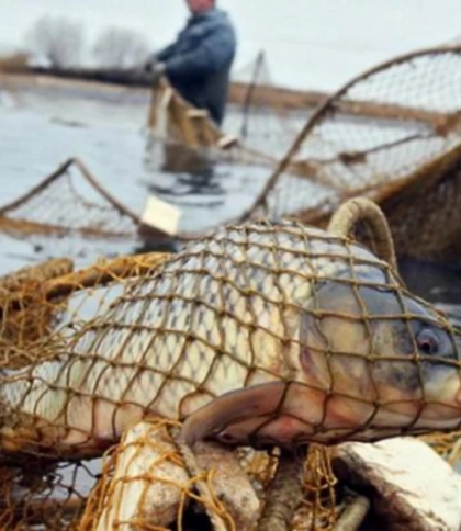 11 000 грн: суд на Львівщині оштрафував рибалку за вилов трьох коропів