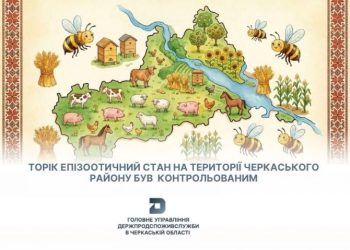 Епізоотична ситуація контрольована: у Черкаському районі провели понад 121 тисячу досліджень — Новости Черкасс
