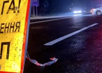 Львів’янка на Toyota на смерть збила пішохода на Стрийщині — Львівщіна