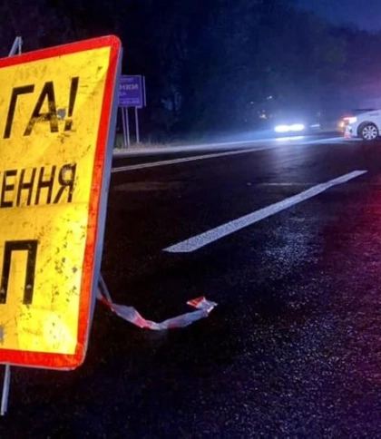 Львів’янка на Toyota на смерть збила пішохода на Стрийщині