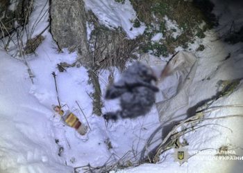 Поліцейські Звенигородщини повідомили чоловіку про підозру в жорстокому поводженні з тваринами — Новости Черкасс
