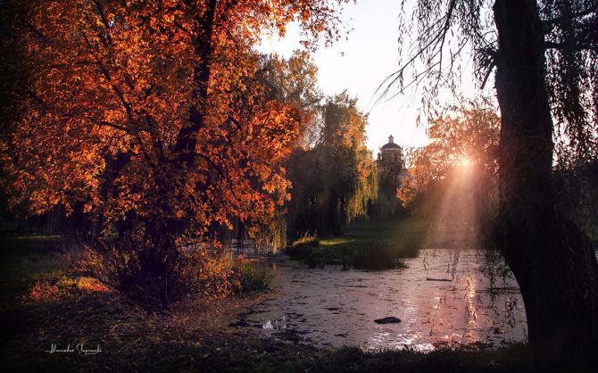 Фото: фейсбук Олександра Слєпцовського