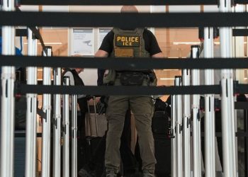 Водійка з України повернулася додому через труднощі з ліцензією в США і страх перед ICE