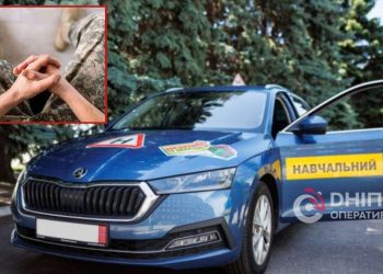 Безкоштовно навчитися водінню можуть деякі українці – хто, де та як | Автоновини |