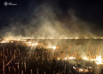 На Черкащині пожежа сухої рослинності ледве не перекинулась на дитсадок — Новости Черкасс
