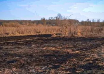 На Львівщині під час спалювання сухостою загинув 56-річний чоловік — Львівщіна