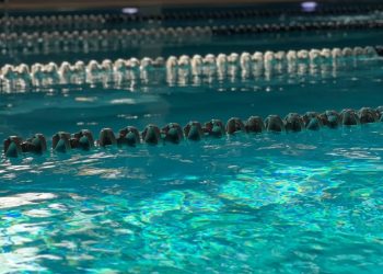 Перевірка якості води у басейнах Львова: результати весняного моніторингу –