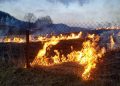 Понад 2 гектари сухої трави згоріло за добу на Львівщині — Львівщіна