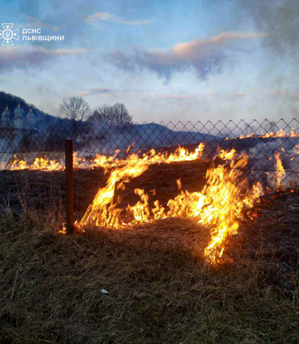 Понад 2 гектари сухої трави згоріло за добу на Львівщині