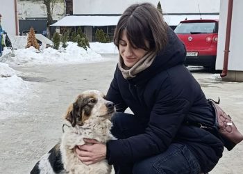 Понад 20 тварин із ЛКП “Лев” знайшли нові домівки у лютому –