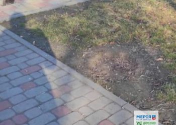 У парку Черкас украли сміттєву урну — Новости Черкасс