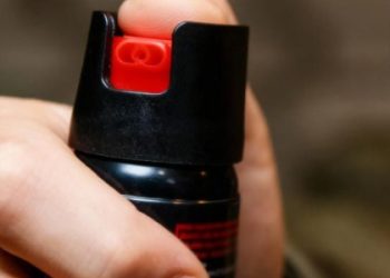 У Сокалі оштрафували матір хлопця, який розпилив у школі перцевий балончик — Львівщіна