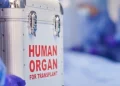 Завдяки посмертному донору у Львові врятували життя трьох людей — Львівщіна