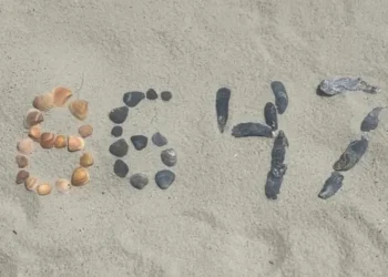 Виклав світлину з мушлями на пляжі. Колишнього директора ФБР Джеймса Комі вкотре звинувачують у «погрозах» Трампу | Світ